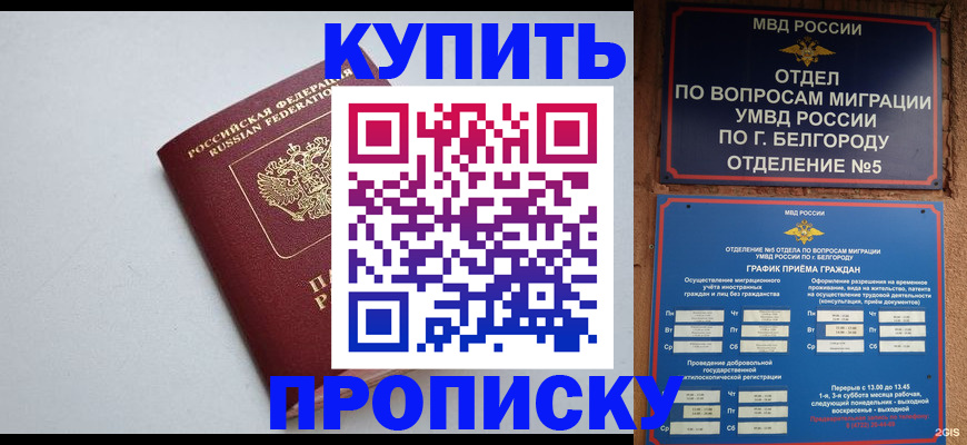 прописка регистрация в Приморско-Ахтарске
